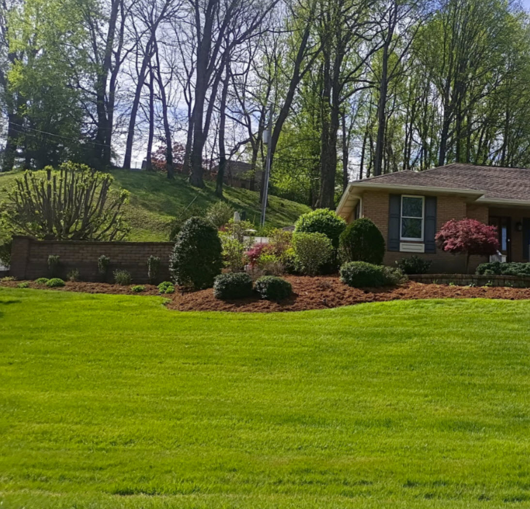 Alan's landscaping project with retaining wall and manicured shrubs